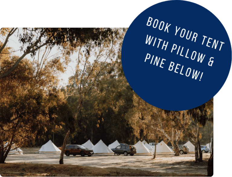 Pillowpine Icongraphic